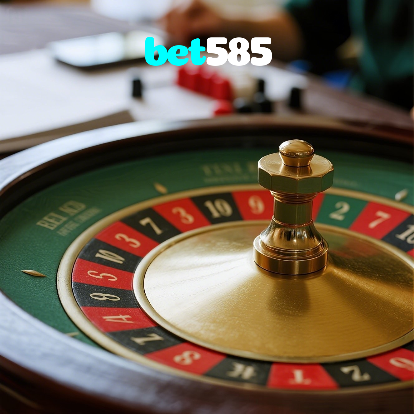 bet585 visual